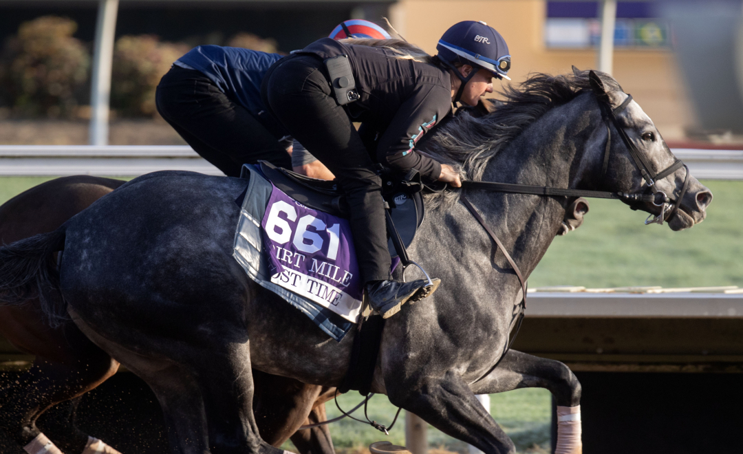 Breeders' Cup D'Amato works seven potential BC starters